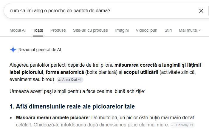 Aeo (Answer engine optimization) si site-urile de Ecommerce.